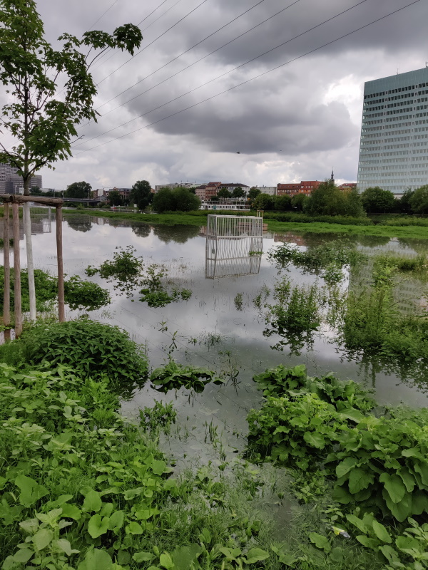 Hochwasser am Neckar